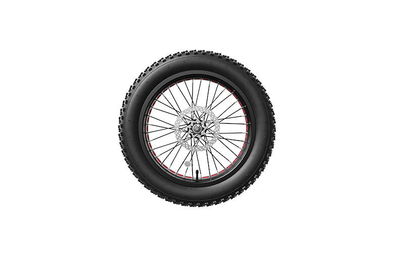 20 inch front bike wheel best sale