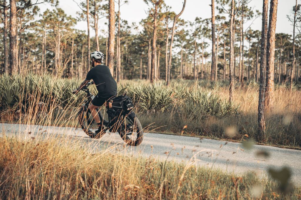 Everything You Need to Know about Off-Road Ebikes