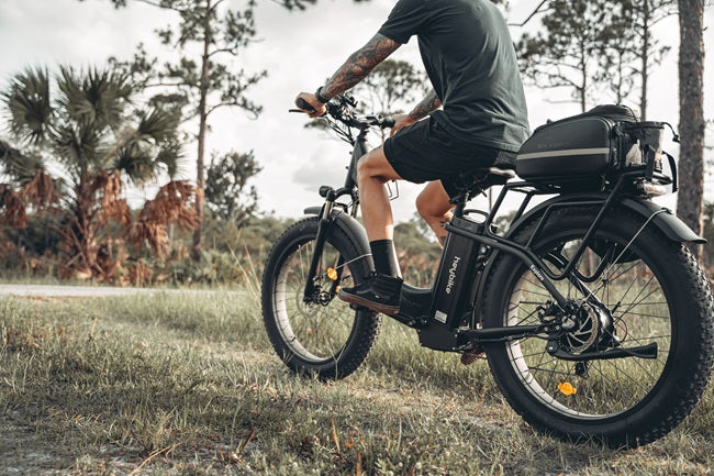 How to Choose The Best Cargo E-Bike for Your Families