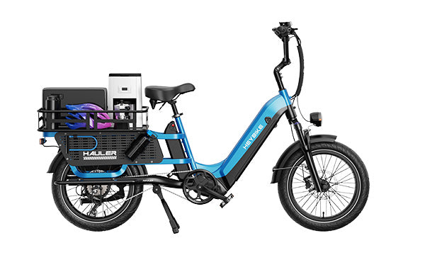 Can E-Cargo Bikes Help Your Family Ditch the Car?