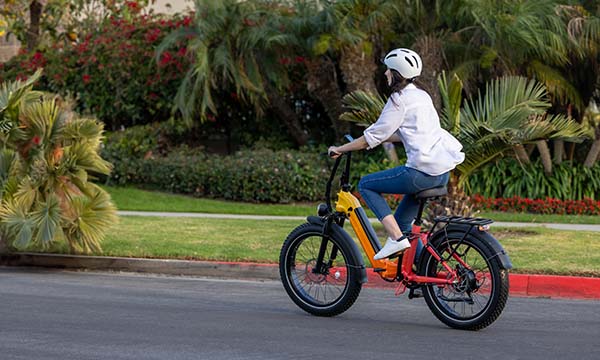 22 inch frame electric bike