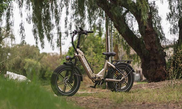 Ranger S foldable electric bike