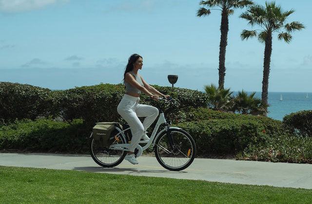 Choose the Best E-Bike Under $1000