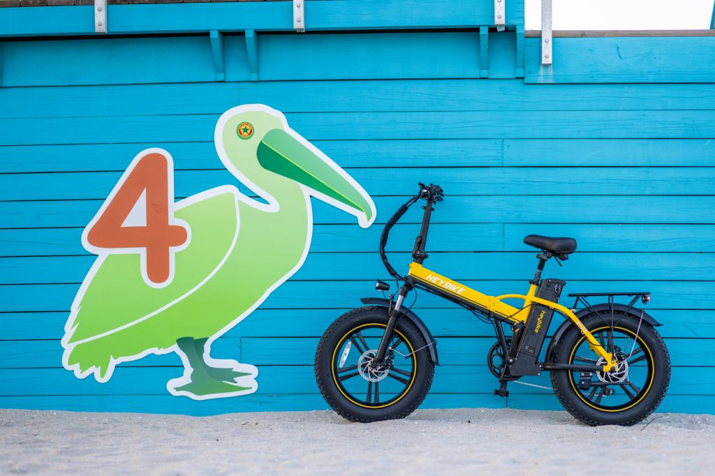 Understanding the 250W Electric Bikes