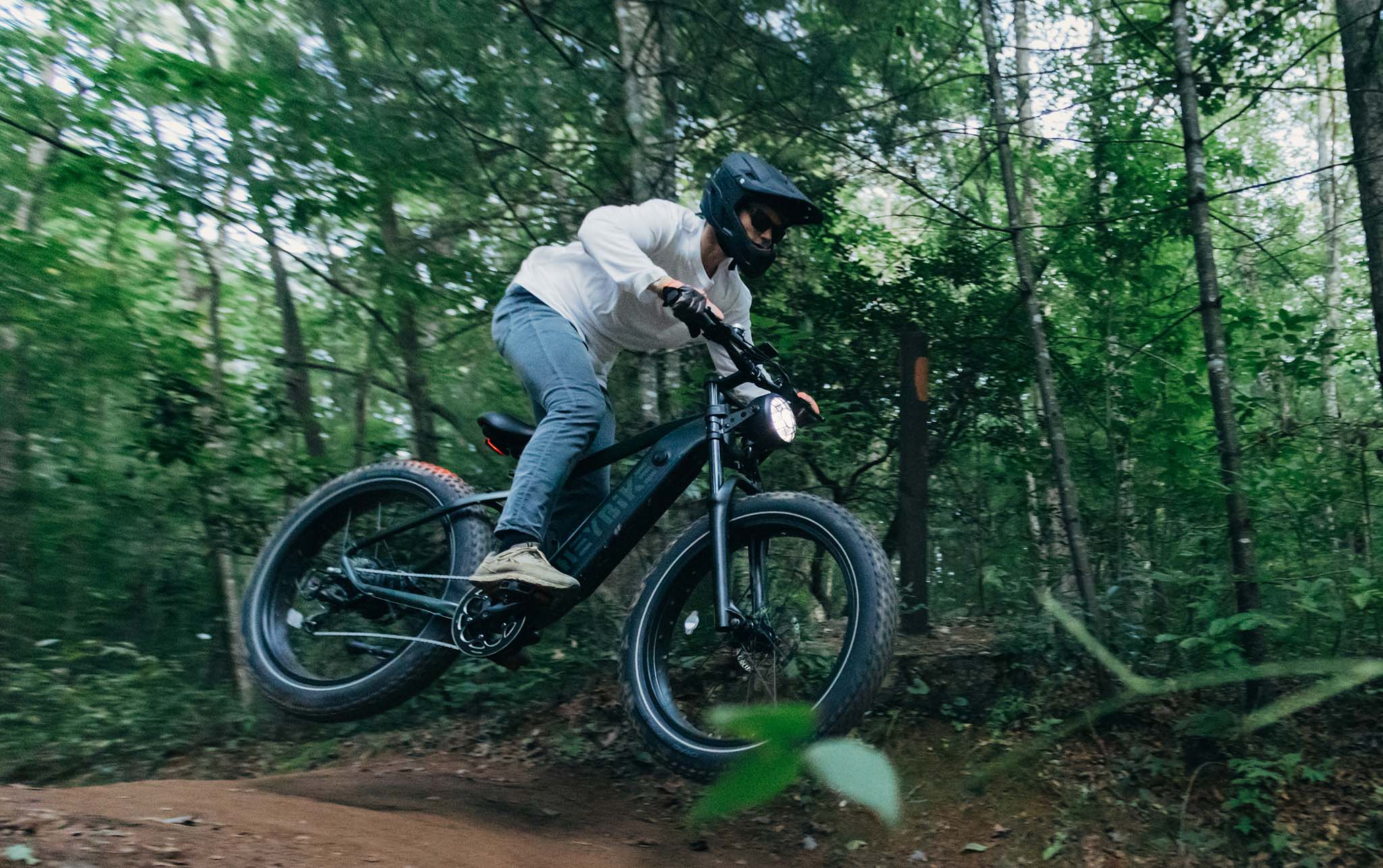 The sale fat bike