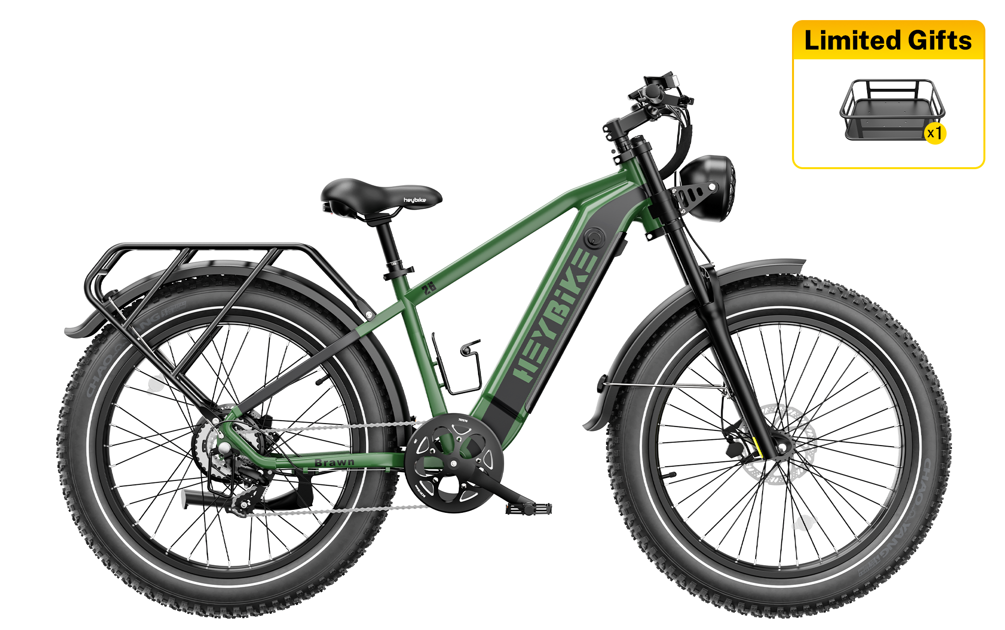 Fat tire e bikes for sale online